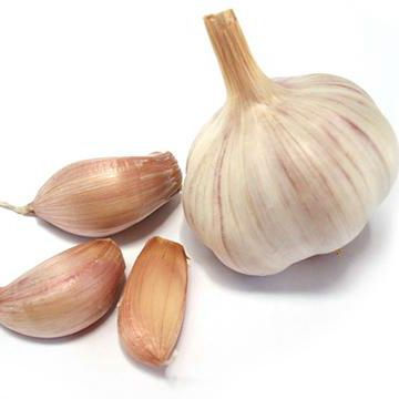 China fresh fruits vegetables supplier wholesale garlic price